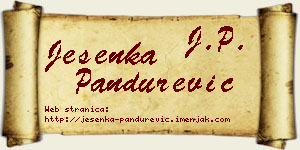 Jesenka Pandurević vizit kartica